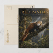Roter Panda Himalaja-Wald TIERE Postkarte (Vorne/Hinten)