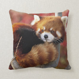 Roter Panda in einem Baum-Wurfs-Kissen Kissen