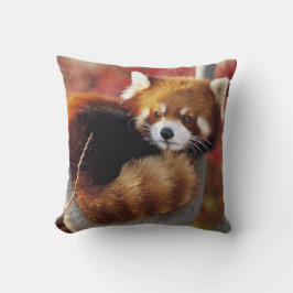 Roter Panda in einem Baumwurzelkissen Kissen