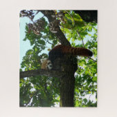 Roter Panda in einem Puzzle (Vertikal)