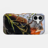 Roter Panda iPhone 16 Hülle (Rückseite (Horizontal))