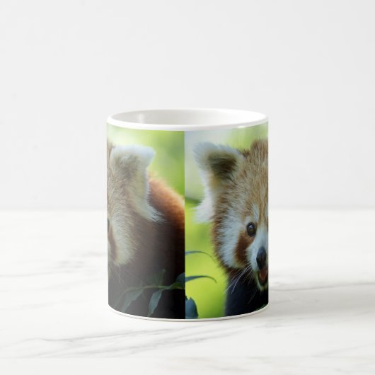 Roter Panda ist wach! Kaffeetasse (Mittel)