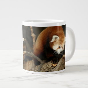 Roter Panda Jumbo-Tasse