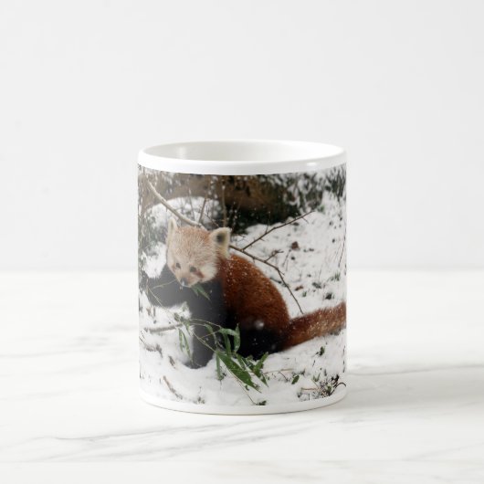 Roter Panda Kaffeetasse (Mittel)