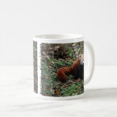 Roter Panda Kaffeetasse (VorderseiteRechts)
