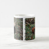 Roter Panda Kaffeetasse (Mittel)