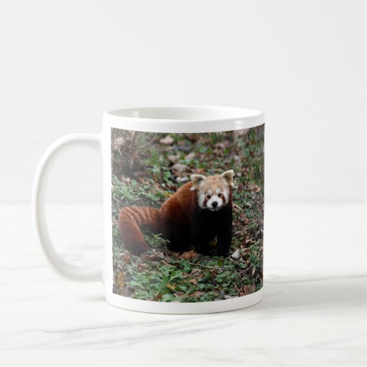 Roter Panda Kaffeetasse (Links)
