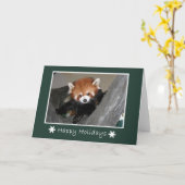 Roter Panda Karte (Gelbe Blume)