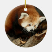 Roter Panda Keramikornament (Hinten)