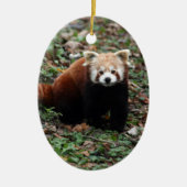 Roter Panda Keramikornament (Vorne)