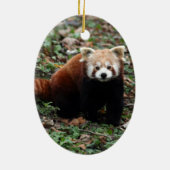 Roter Panda Keramikornament (Hinten)