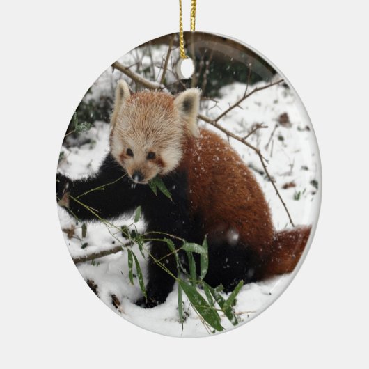 Roter Panda Keramikornament (Links)