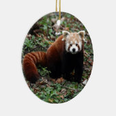Roter Panda Keramikornament (Rechts)