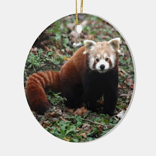 Roter Panda Keramikornament (Links)