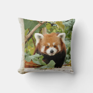 Roter Panda Kissen