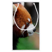 Roter Panda Kleine Geschenktüte (Rückseite)