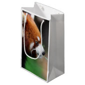 Roter Panda Kleine Geschenktüte (Vorderseite Schrägansicht)