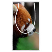 Roter Panda Kleine Geschenktüte (Vorderseite)