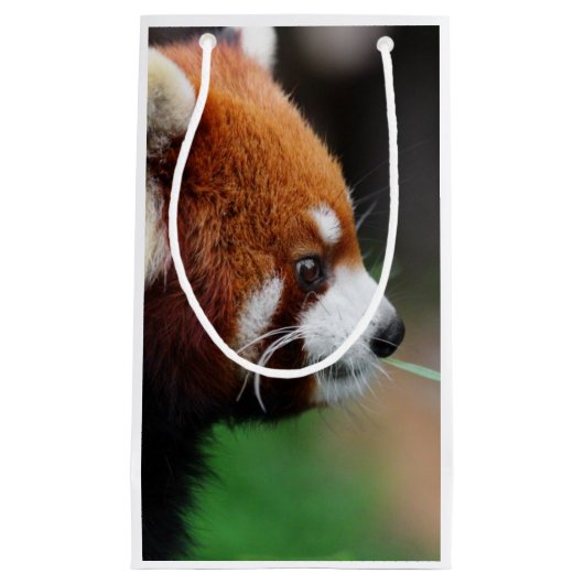 Roter Panda Kleine Geschenktüte (Vorderseite)