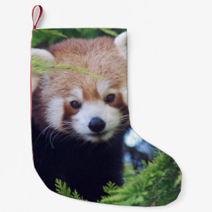 Roter Panda Kleiner Weihnachtsstrumpf