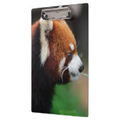 Roter Panda Klemmbrett (Links)