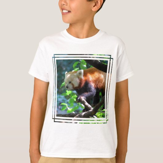 Roter Panda-Klettern T-Shirt (Vorderseite)