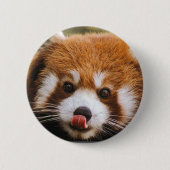 Roter Panda-Knopf Button (Vorderseite)