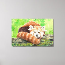 Roter Panda Leinwanddruck