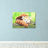 Roter Panda Leinwanddruck (Insitu (Holzboden))