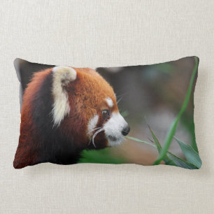 Roter Panda Lendenkissen