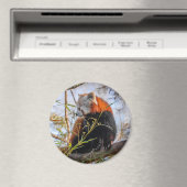 Roter Panda Magnet (In Situ (Geschirrspüler))