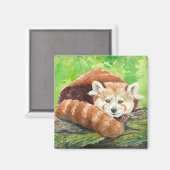 Roter Panda Magnet (Vorderseite/Rückseite)