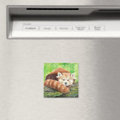 Roter Panda Magnet (In Situ (Geschirrspüler))