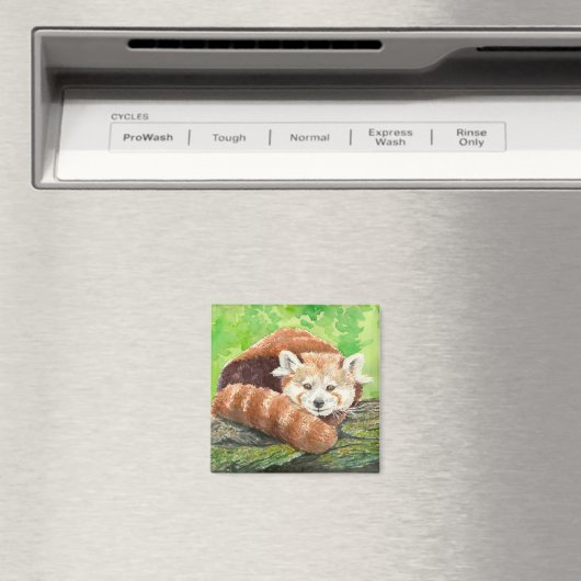 Roter Panda Magnet (In Situ (Geschirrspüler))
