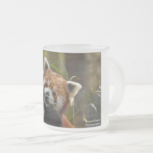 Roter Panda Mattglastasse (VorderseiteRechts)