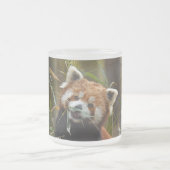 Roter Panda Mattglastasse (Mittel)