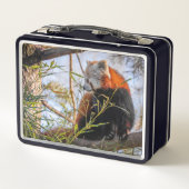 Roter Panda Metall Brotdose (Rückseite)