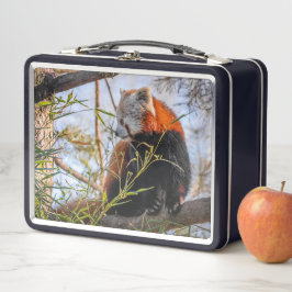 Roter Panda Metall Brotdose