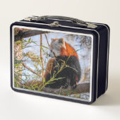 Roter Panda Metall Brotdose (Vorderseite)