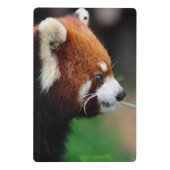 Roter Panda Mini Klemmbrett (Rückseite)