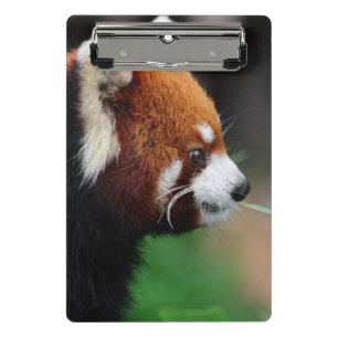 Roter Panda Mini Klemmbrett
