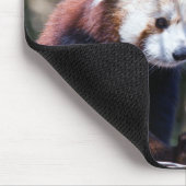 Roter Panda Mousepad (Ecke)