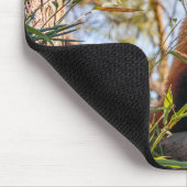 Roter Panda Mousepad (Ecke)