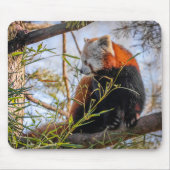 Roter Panda Mousepad (Vorne)