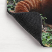 Roter Panda Mousepad (Ecke)