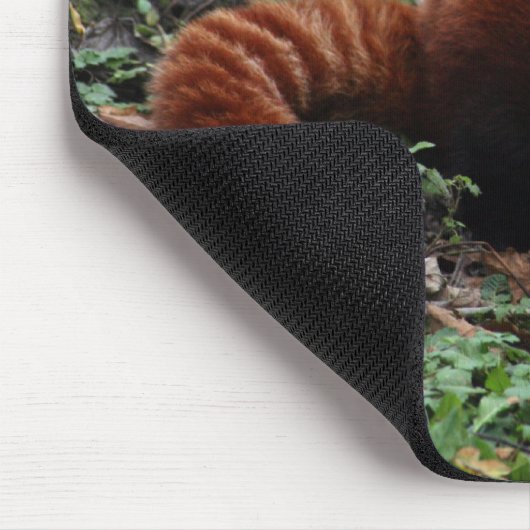 Roter Panda Mousepad (Ecke)