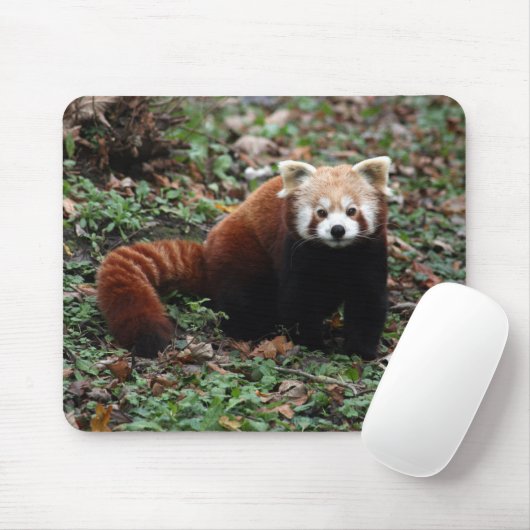 Roter Panda Mousepad (Mit Mouse)
