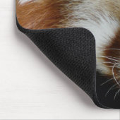Roter Panda Mousepad (Ecke)
