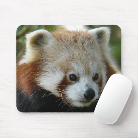 Roter Panda Mousepad (Mit Mouse)