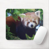 Roter Panda Mousepad (Mit Mouse)